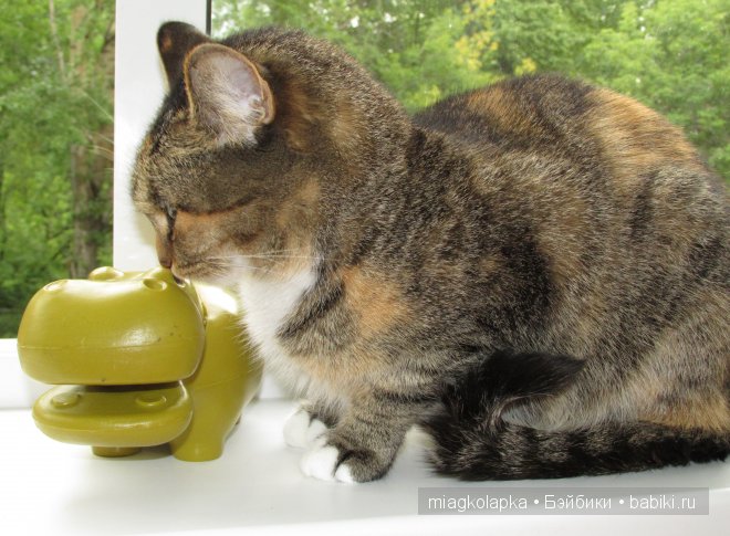 Конфеткины обновочки,Бегемоша,новый кулон "Сердце не камень" и кошка Ася))) | Бэйбики Конфеткины обновочки,Бегемоша,новый кулон "Сердце не камень" и кошка Ася))) (фото 5)