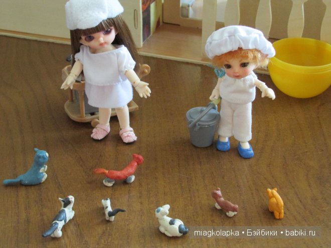 Где водятся...помощники? День добра. Знакомство