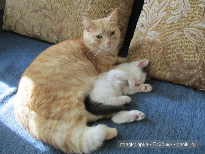 Умка,значит по Чукотски-медведь