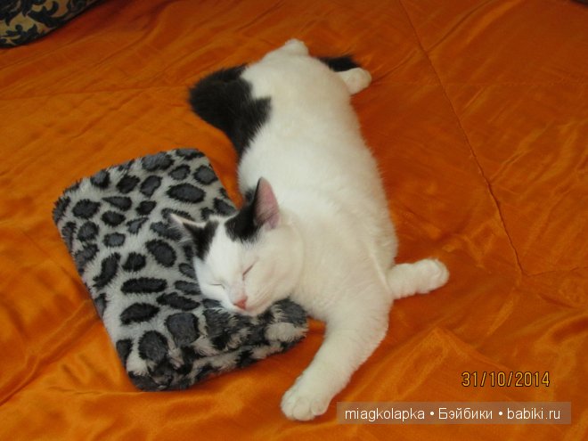 Умка,значит по Чукотски-медведь