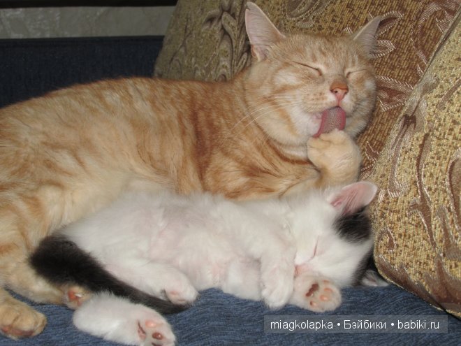 Умка,значит по Чукотски-медведь