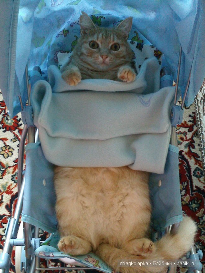 Умка,значит по Чукотски-медведь