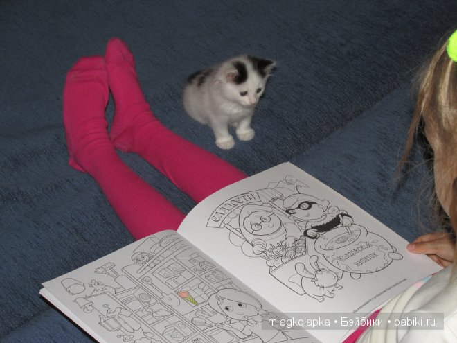 Умка,значит по Чукотски-медведь