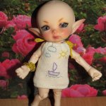 Одежка своими руками для real puki