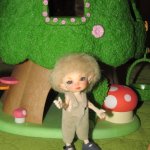 Дом для Лунтика или подарок другу