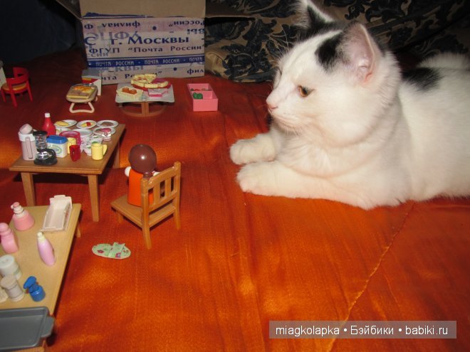 Дом который построил......кот