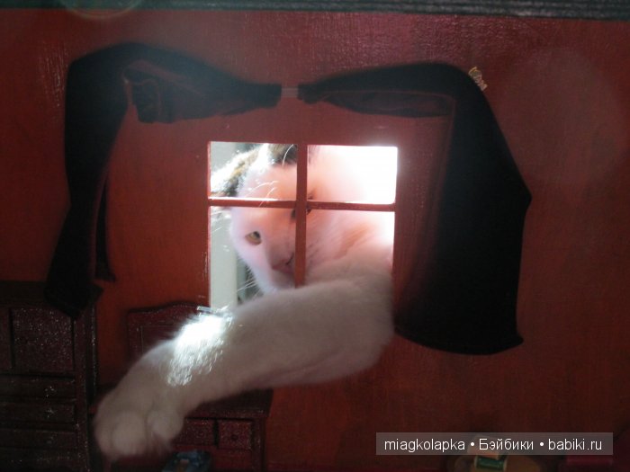 Дом который построил......кот (фото 3)