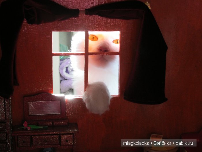 Дом который построил......кот (фото 5)