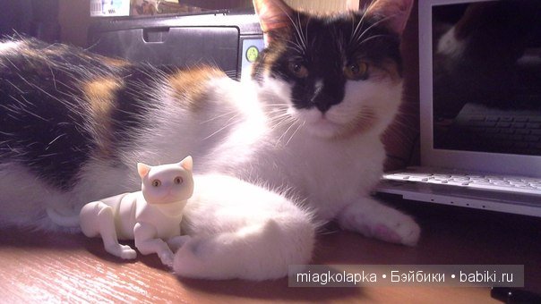 Уровень мимимишности зашкаливает, ушастики и хвостики BJD от Elleo-dolls | Бэйбики Уровень мимимишности зашкаливает, ушастики и хвостики BJD от Elleo-dolls