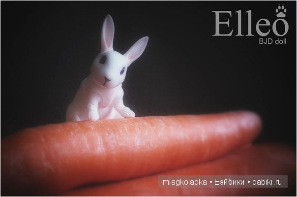 Уровень мимимишности зашкаливает, ушастики и хвостики BJD от Elleo-dolls | Бэйбики Уровень мимимишности зашкаливает, ушастики и хвостики BJD от Elleo-dolls (фото 7)