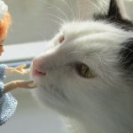 Я разгадала знак бесконечность