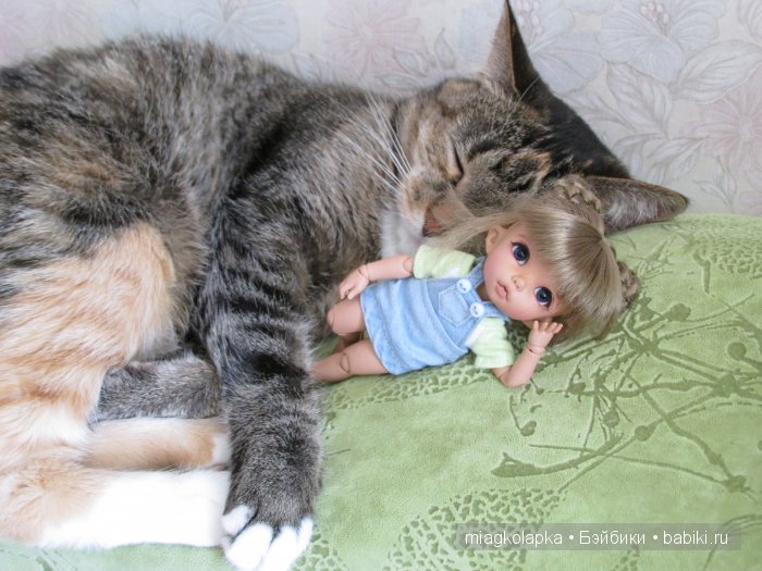 Катя & Котя — Куклы Fairyland (ФэйриЛэнд): BJD (БЖД) (фото 6)