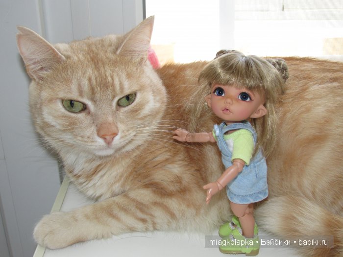 Катя & Котя — Куклы Fairyland (ФэйриЛэнд): BJD (БЖД) (фото 2)