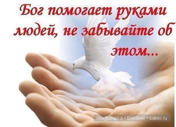 МАЛЬЧИК-БАБОЧКА.ОЧЕНЬ НУЖНА ЛЮБАЯ ПОМОЩЬ!ПОЖАЛУЙСТА НЕ ПРОХОДИТЕ МИМО