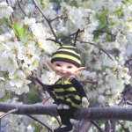 Трудовой день обыкновенной пчелы