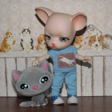 Мой большеухий зверь