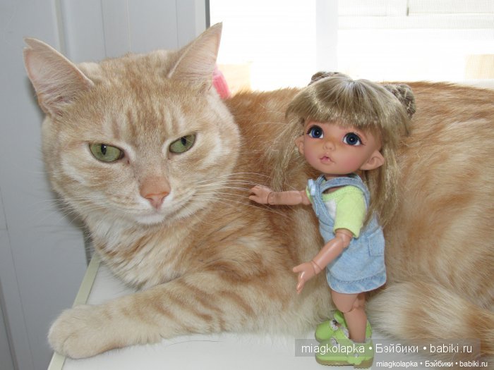 Я взрослела,а куклы становились меньше. (11лет на сайте)