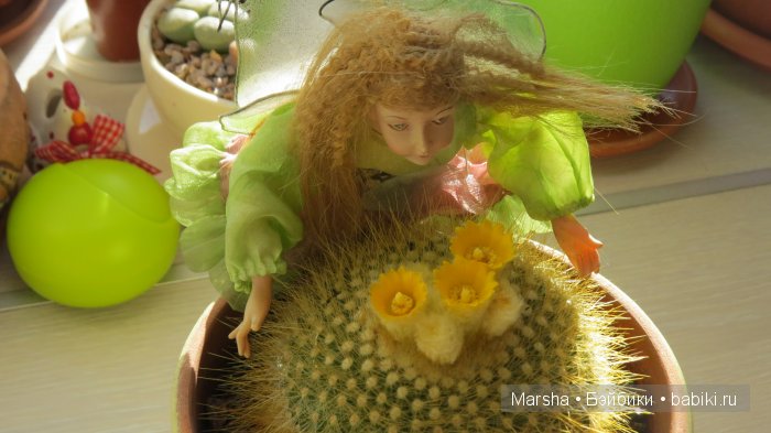 А кактусы цветут, мои любимые колючки | Бэйбики А кактусы цветут, мои любимые колючки