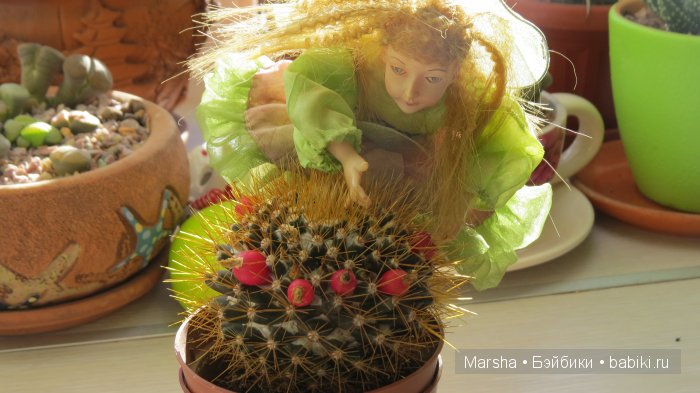 А кактусы цветут, мои любимые колючки | Бэйбики А кактусы цветут, мои любимые колючки (фото 6)