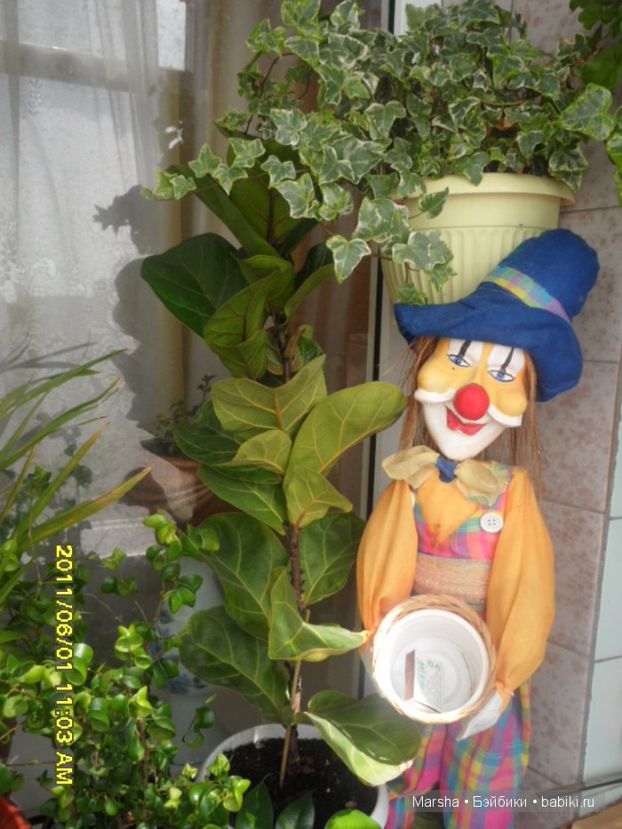 А кактусы цветут, мои любимые колючки | Бэйбики А кактусы цветут, мои любимые колючки