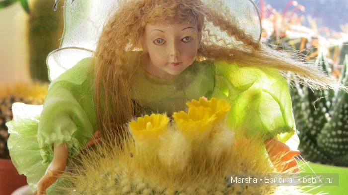 А кактусы цветут, мои любимые колючки | Бэйбики А кактусы цветут, мои любимые колючки (фото 8)