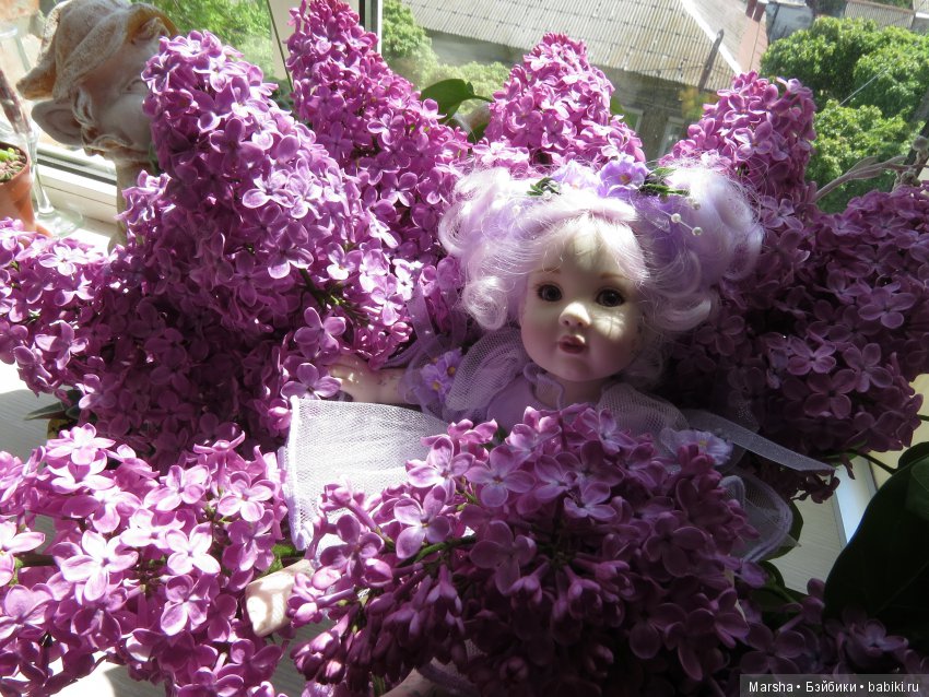 А вы помните чем пахнет май? Неожиданно, в ноябре то, но в мае пахнет чудесно, погреемся на солнышке