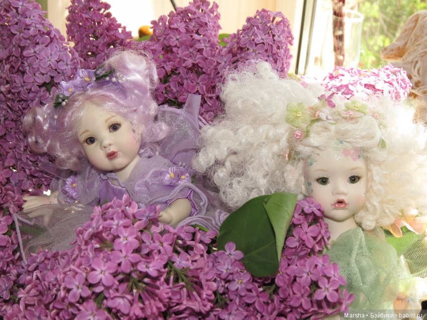 А вы помните чем пахнет май? Неожиданно, в ноябре то, но в мае пахнет чудесно, погреемся на солнышке