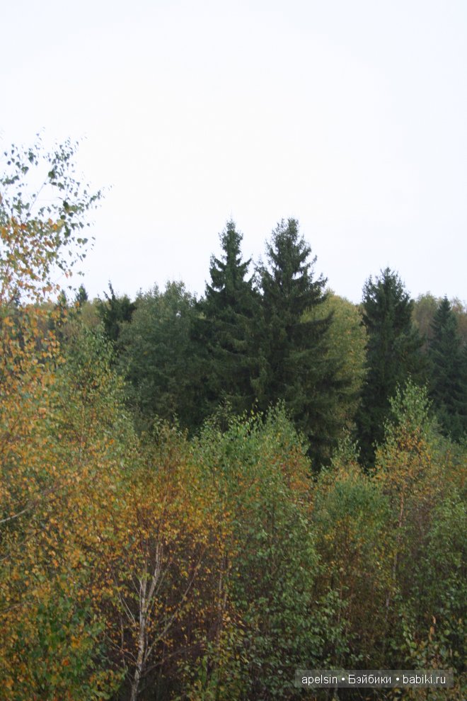 Необычные игрушки из икеа | Бэйбики Необычные игрушки из икеа