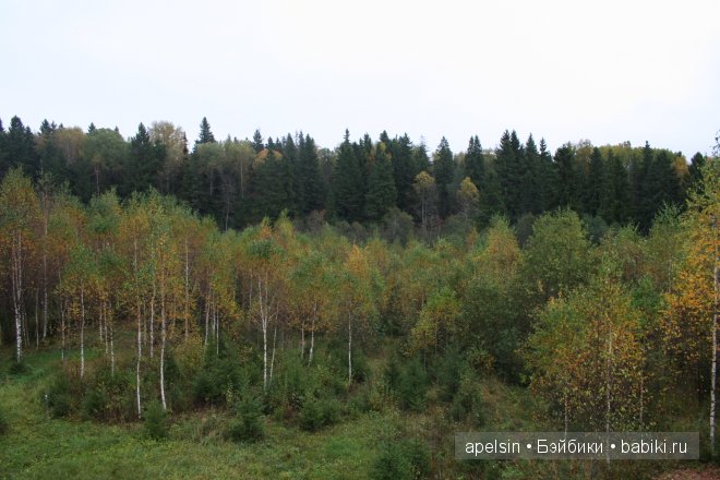 Необычные игрушки из икеа | Бэйбики Необычные игрушки из икеа