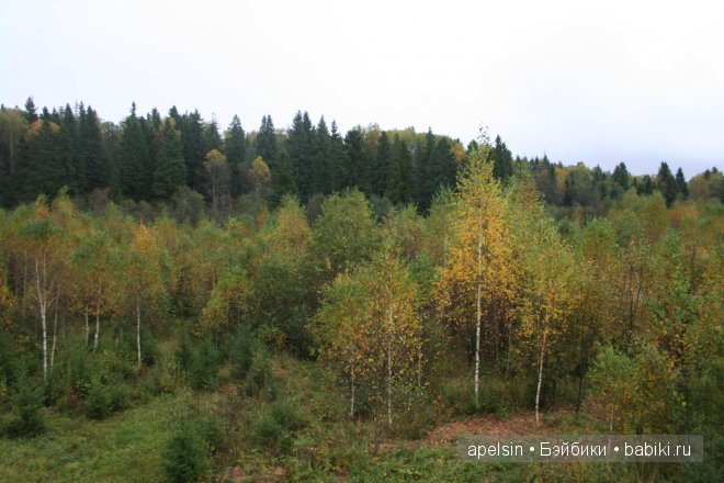 Необычные игрушки из икеа | Бэйбики Необычные игрушки из икеа (фото 9)