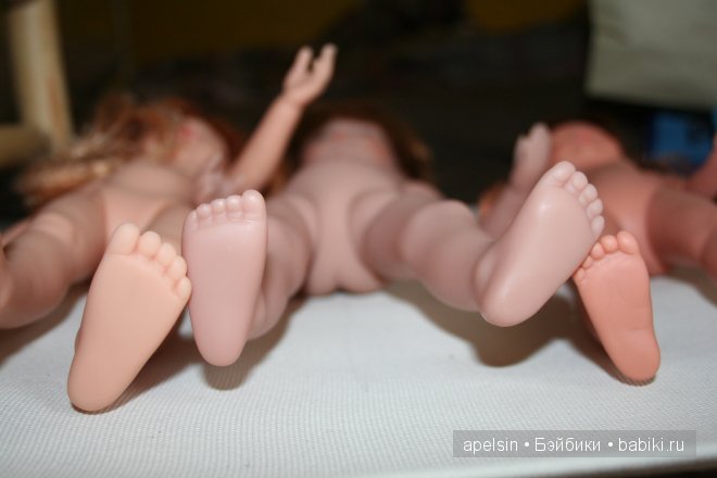 Сравнительный обзор рыжиков. Minouche, Asi, Paola Reina