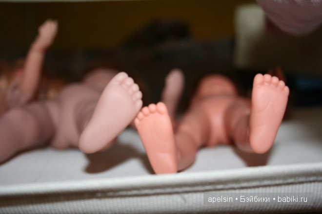 Сравнительный обзор рыжиков. Minouche, Asi, Paola Reina