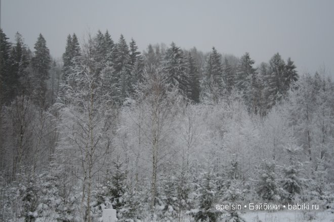 Белый, белый снег (наши обновки) или сравнение Жозефины и Силли Minouche Kathe Kruse | Бэйбики Белый, белый снег (наши обновки) или сравнение Жозефины и Силли Minouche Kathe Kruse (фото 4)