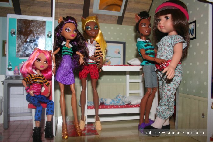 Знакомство с семейкой волков Monster High "A pack of trouble set" (фото 3)