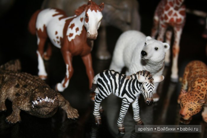 В мире животных.. продолжение