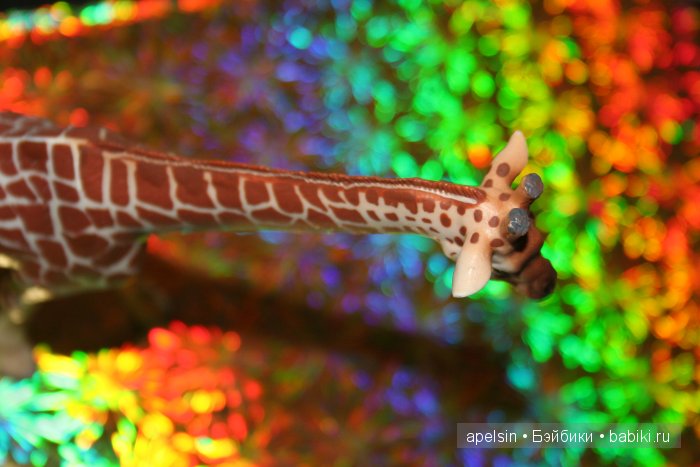 В мире животных.. продолжение