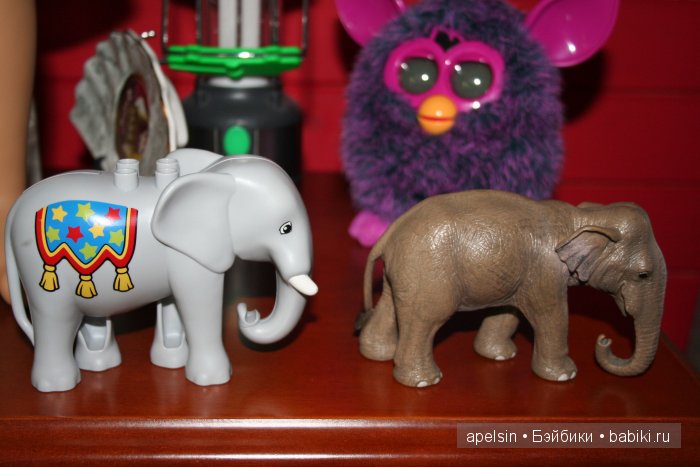 В мире животных.. продолжение