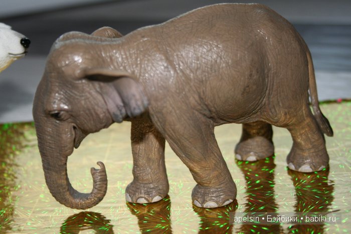 В мире животных.. продолжение (фото 3)