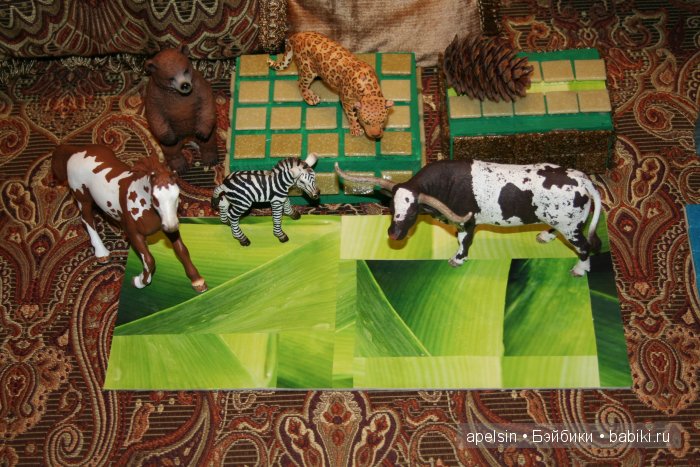 В мире животных.. продолжение