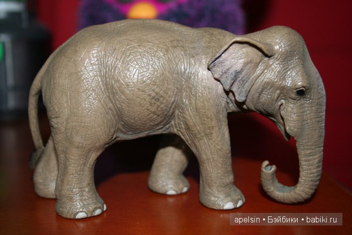 В мире животных.. продолжение (фото 6)