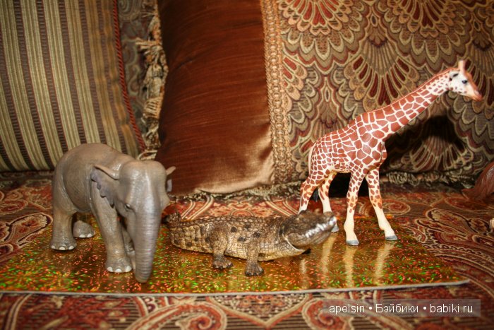 В мире животных.. продолжение