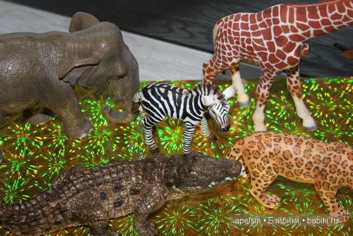 В мире животных.. продолжение