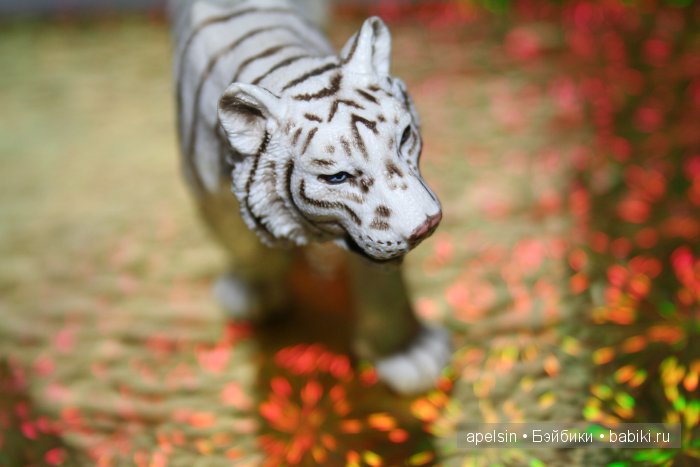 В мире животных.. продолжение (фото 9)