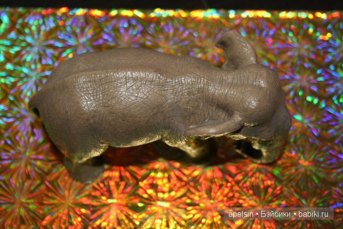 В мире животных.. продолжение (фото 5)