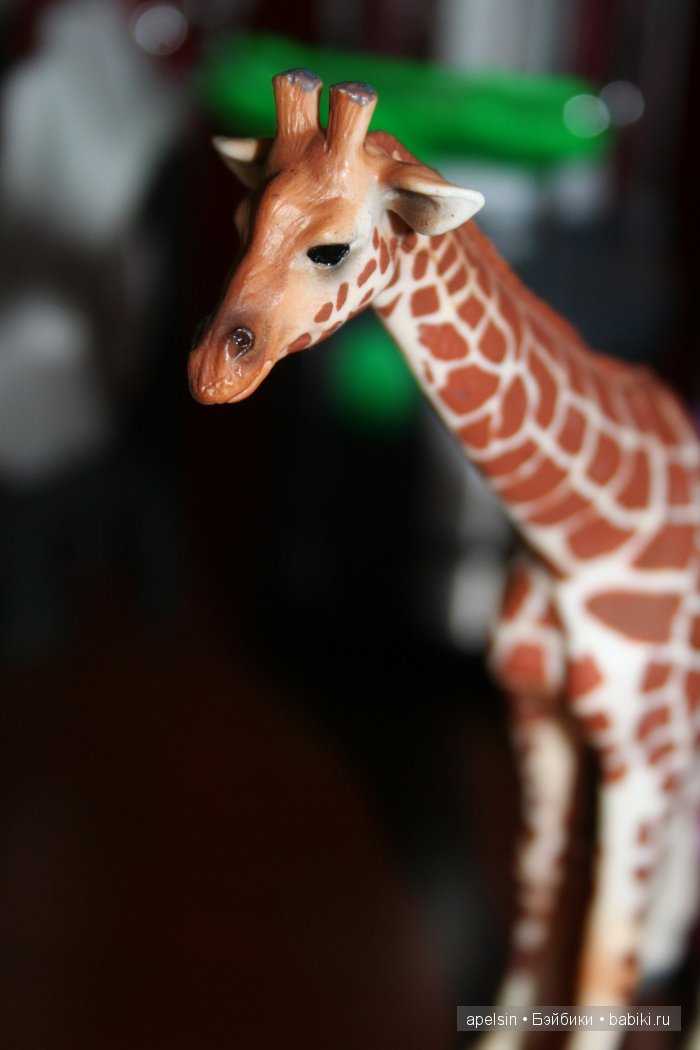 В мире животных.. продолжение