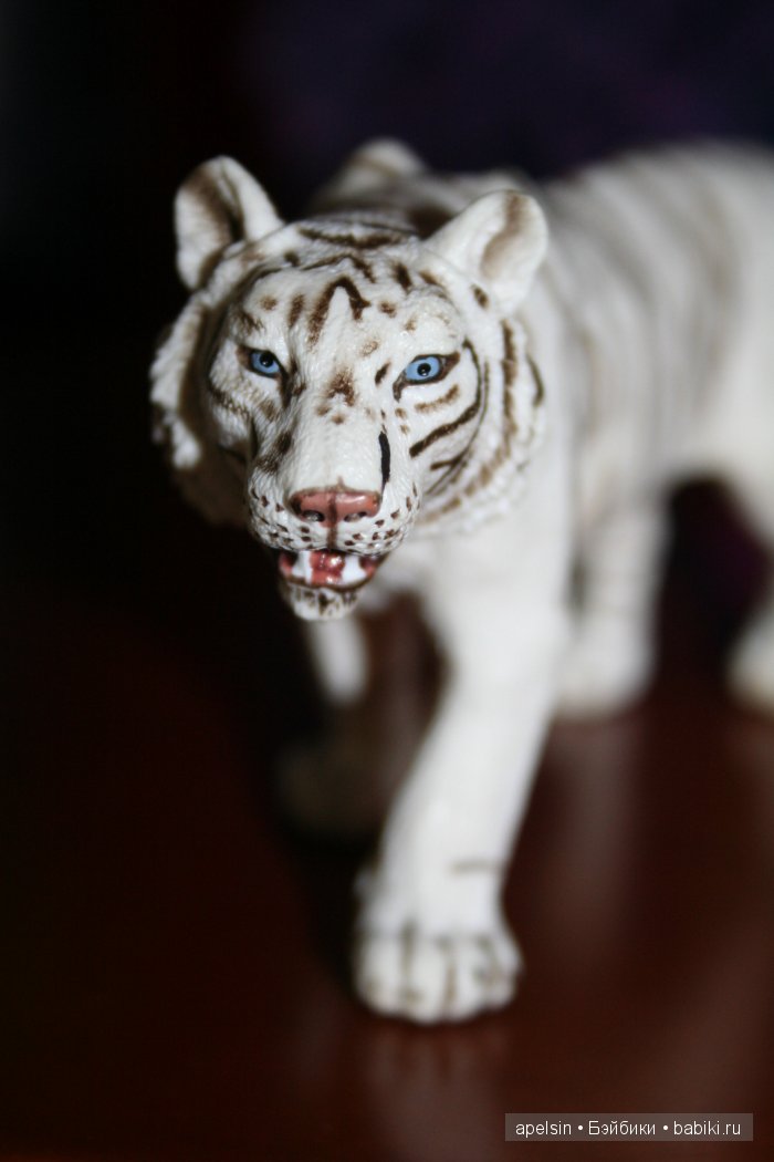 В мире животных.. продолжение (фото 10)