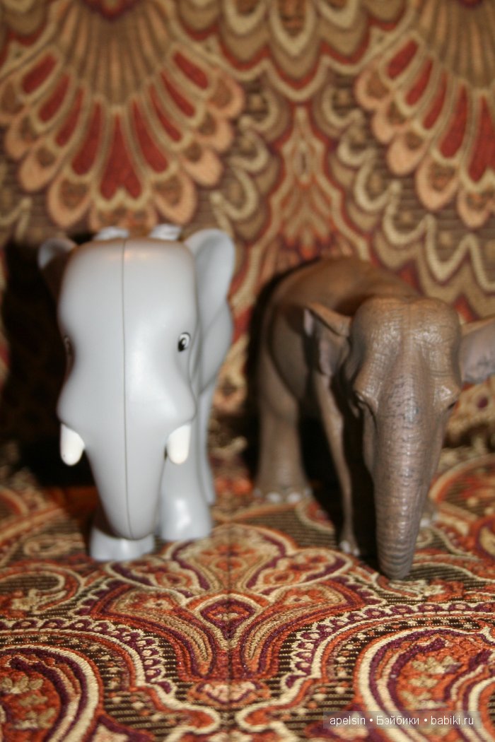 В мире животных.. продолжение