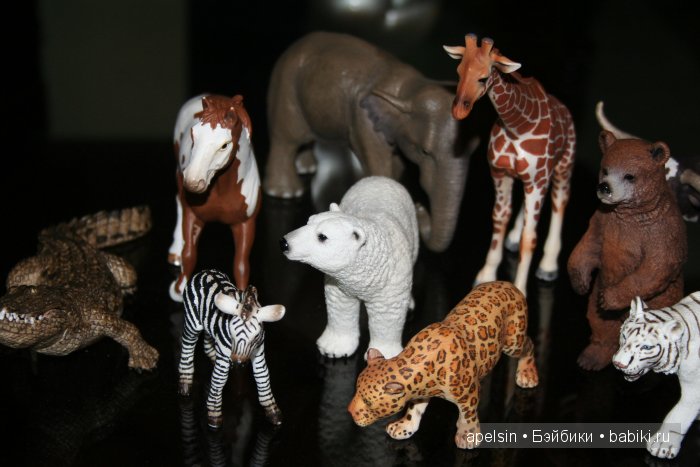 В мире животных.. продолжение