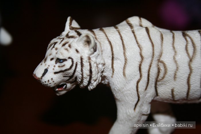 В мире животных.. продолжение