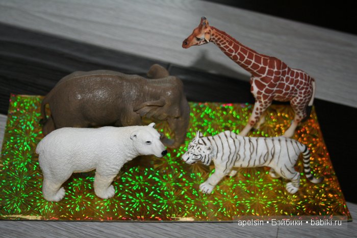 В мире животных.. продолжение